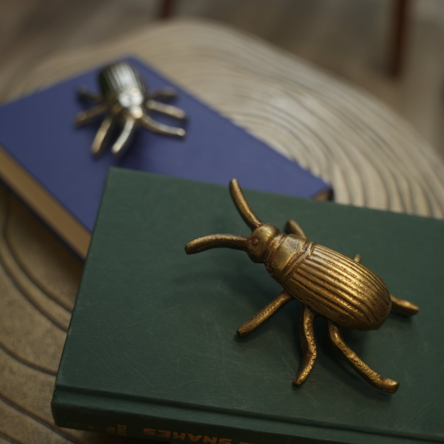 Gold Beetle Décor