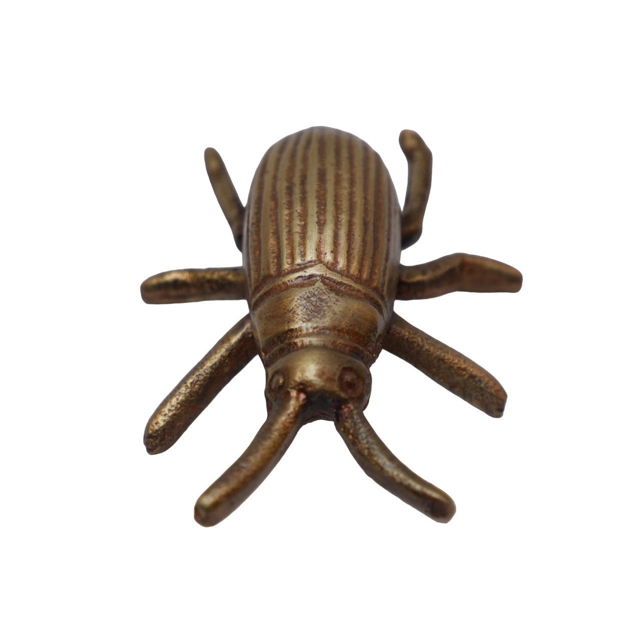 Gold Beetle Décor
