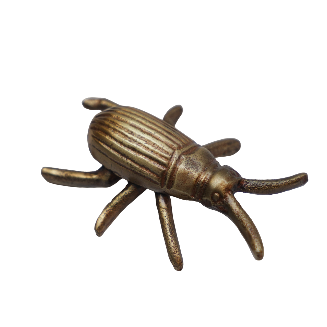 Gold Beetle Décor
