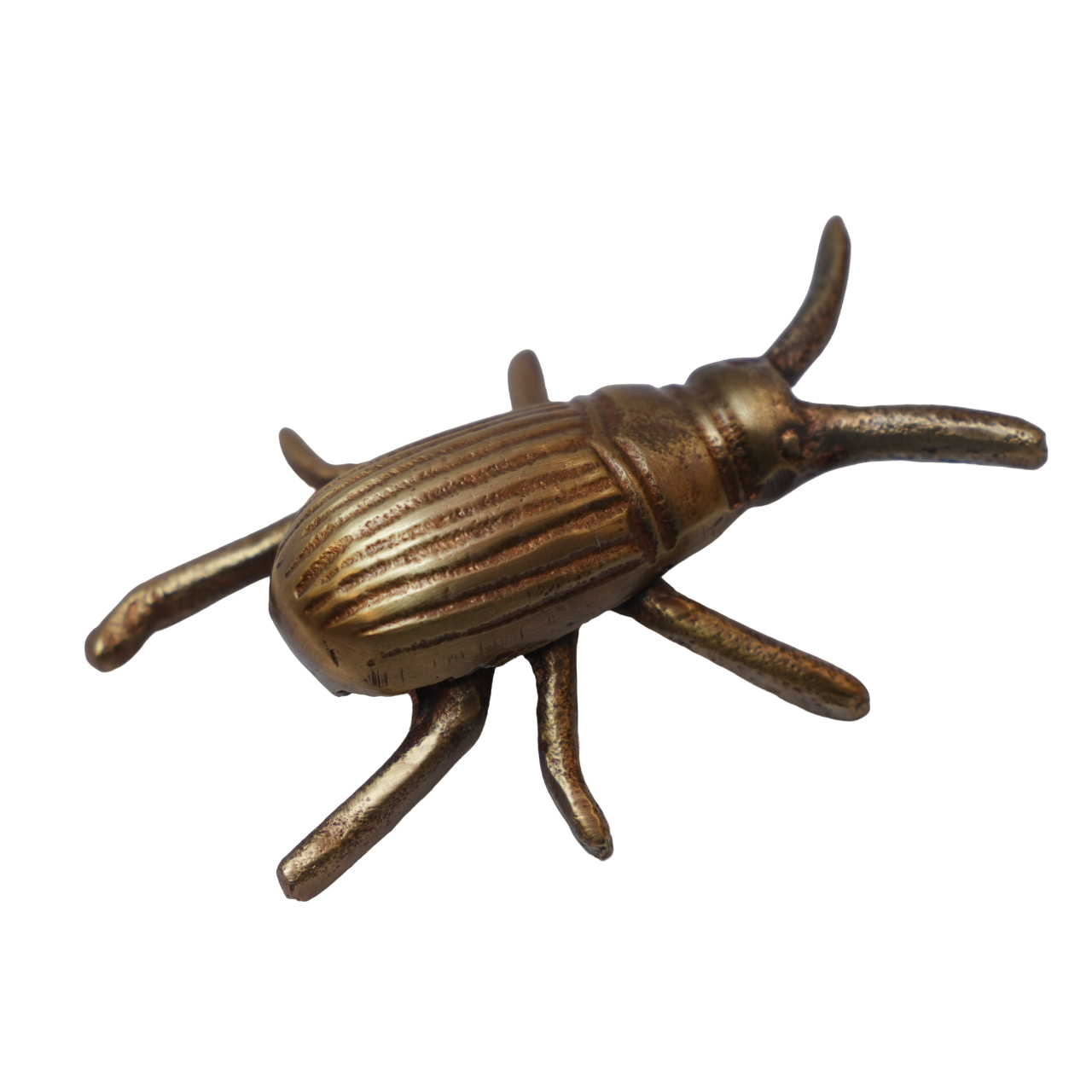 Gold Beetle Décor
