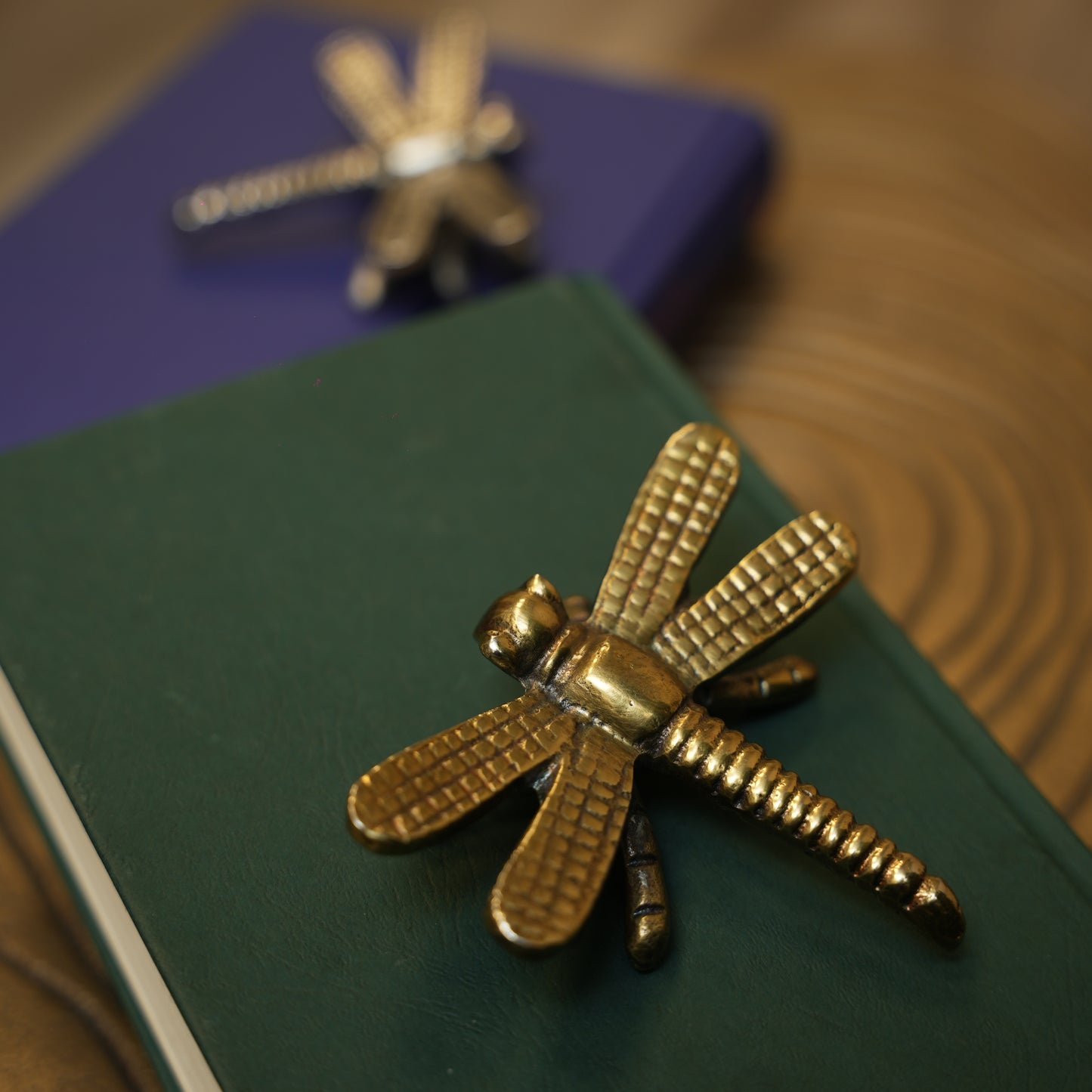 Brass Dragon Fly Décor
