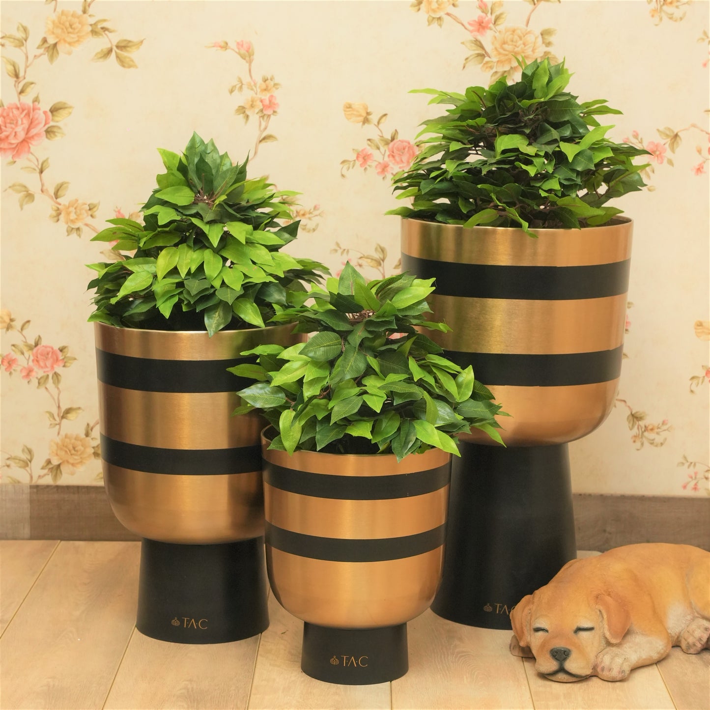 Black Stripes on Gold Metal Planter (Set of 3)