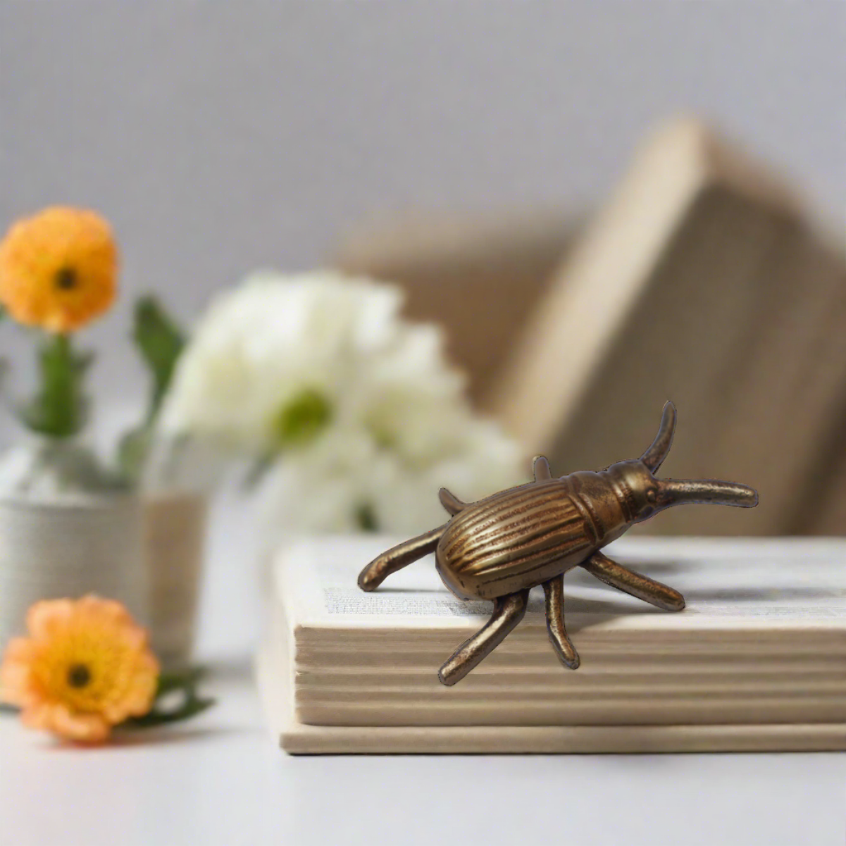 Gold Beetle Décor