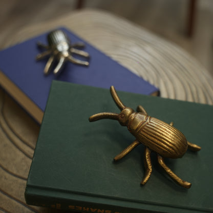 Gold Beetle Décor