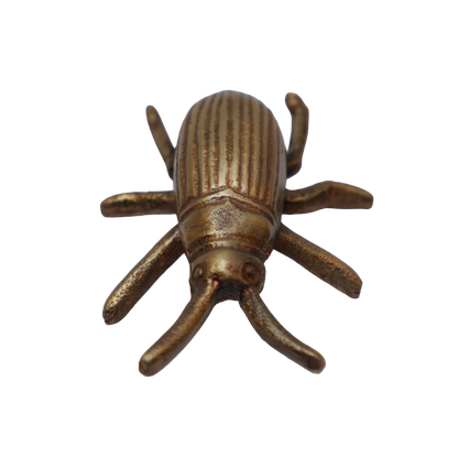 Gold Beetle Décor