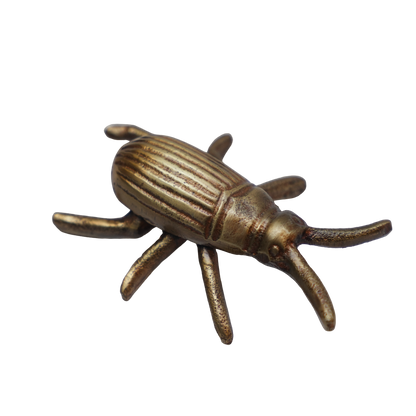 Gold Beetle Décor