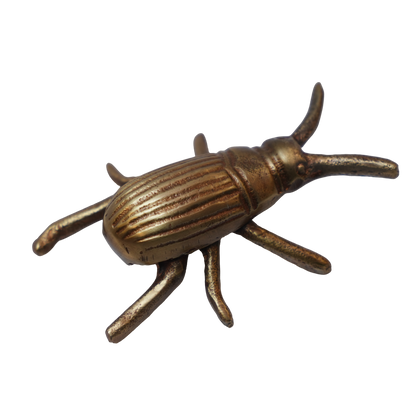Gold Beetle Décor